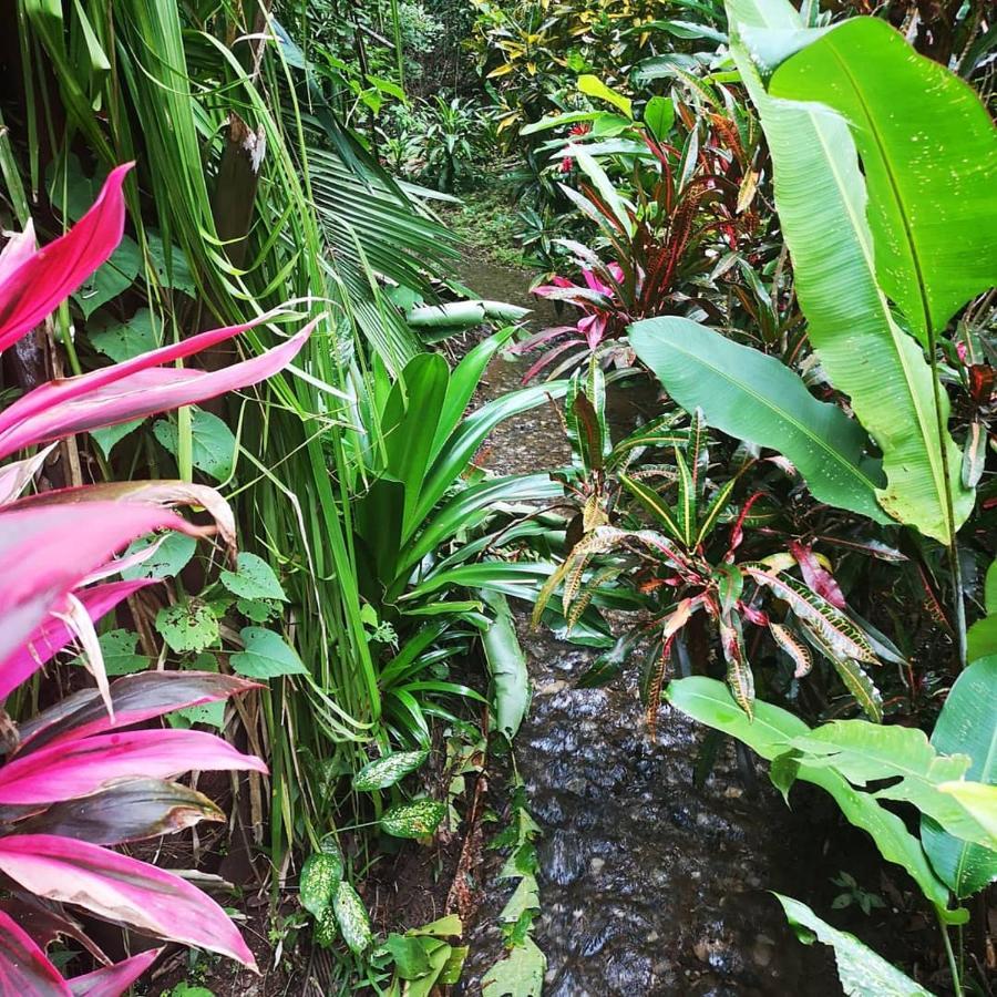 Hotel Belvedere Playa Samara Costa Rica Eksteriør bilde