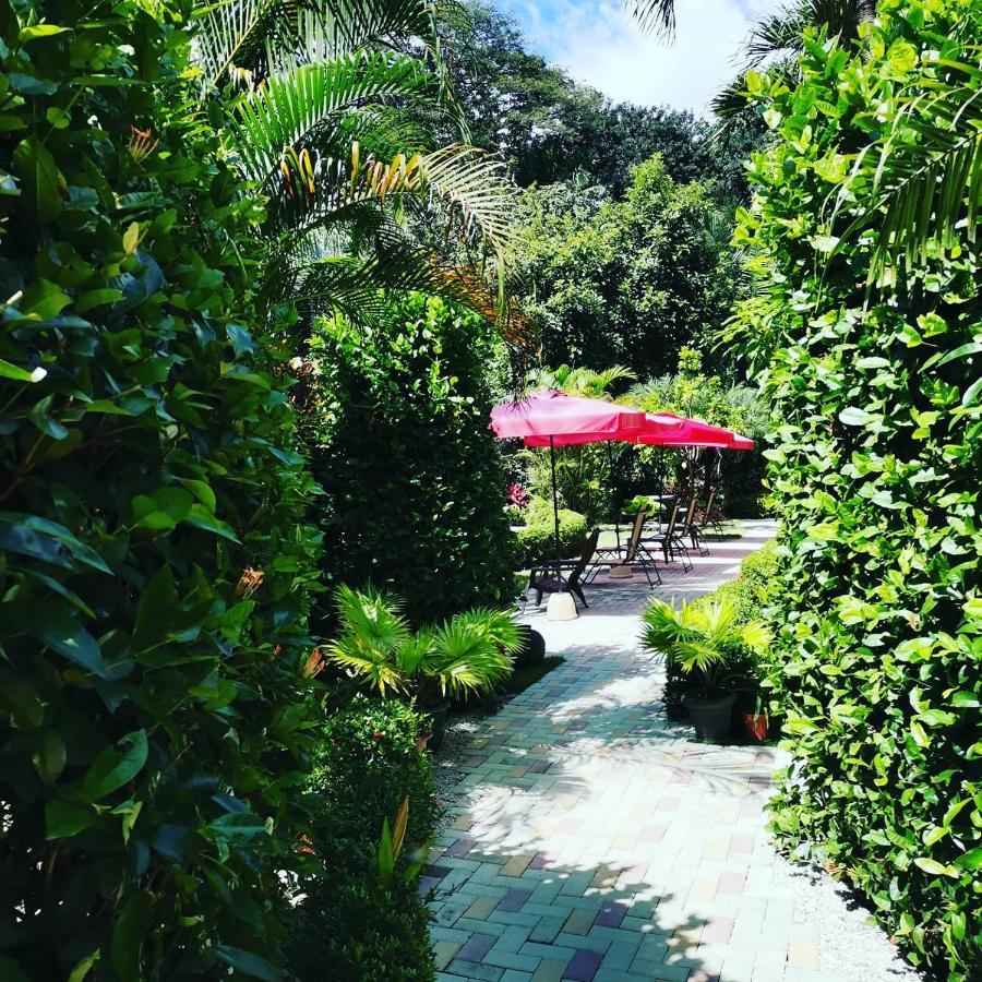 Hotel Belvedere Playa Samara Costa Rica Eksteriør bilde