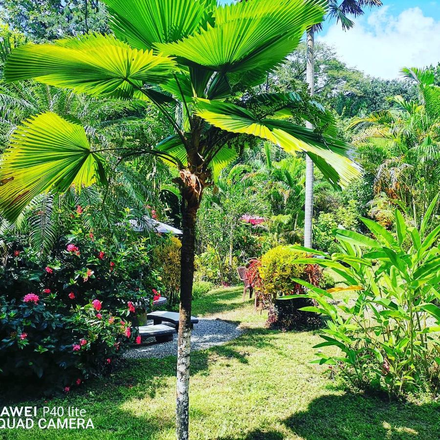 Hotel Belvedere Playa Samara Costa Rica Eksteriør bilde