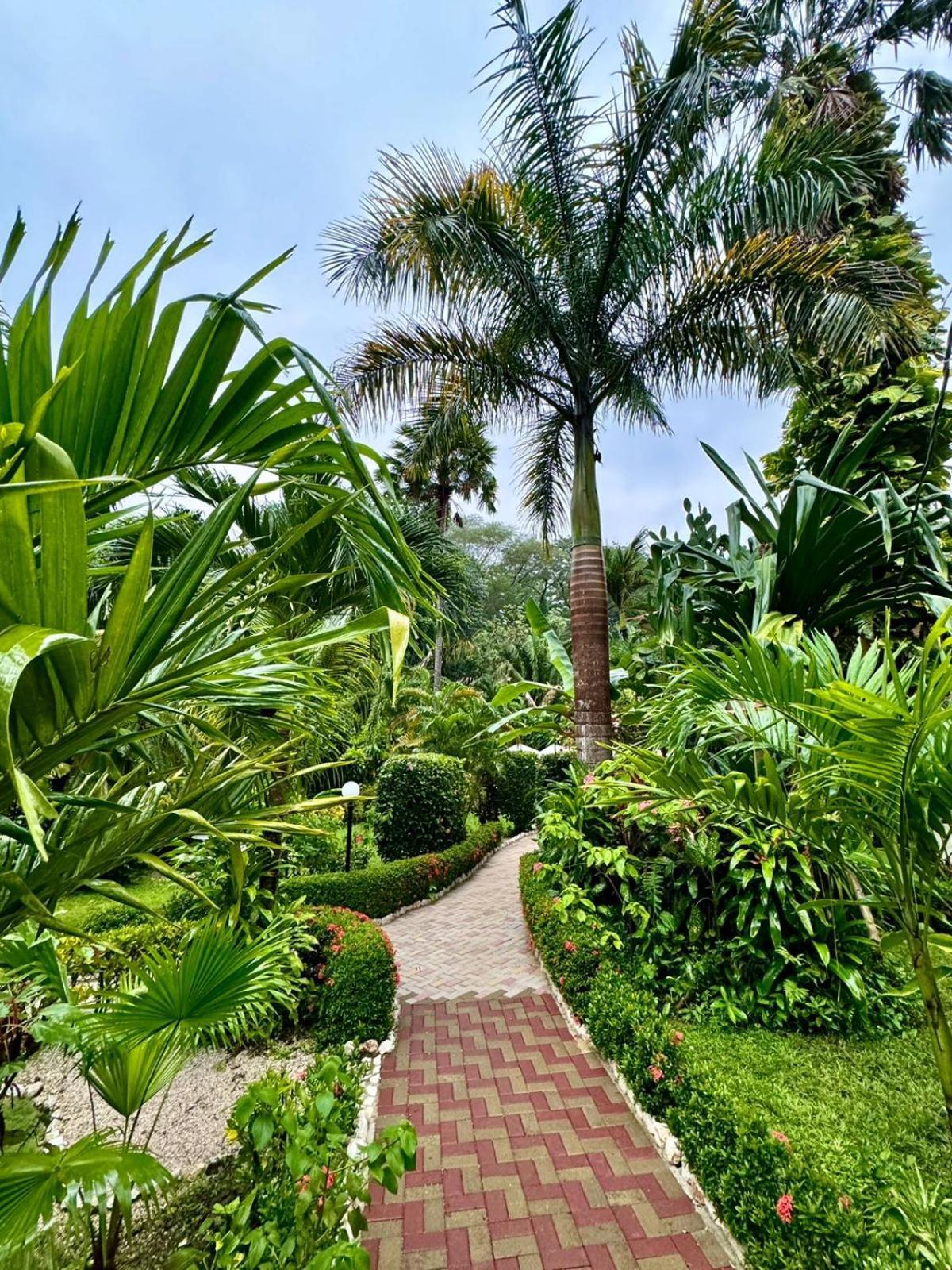 Hotel Belvedere Playa Samara Costa Rica Eksteriør bilde